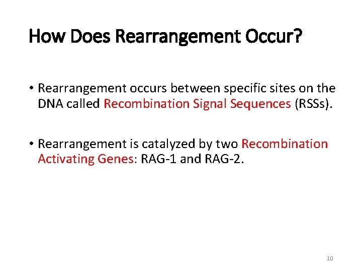 How Does Rearrangement Occur? • Rearrangement occurs between specific sites on the DNA called