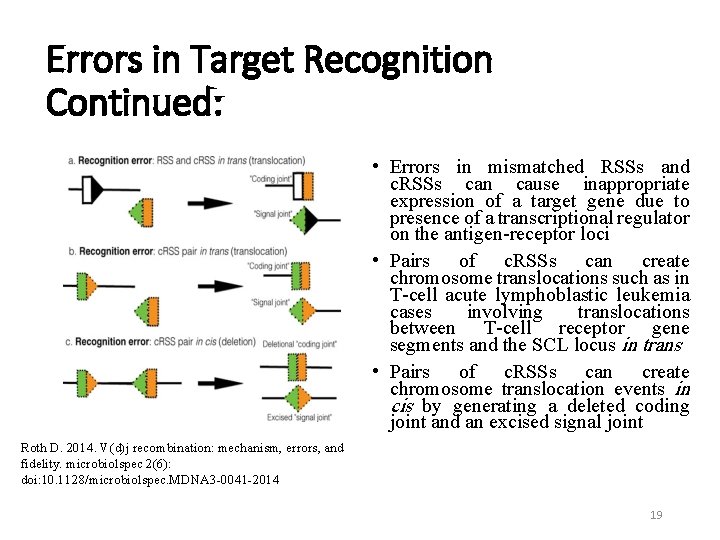 Errors in Target Recognition Continued: • Errors in mismatched RSSs and c. RSSs can