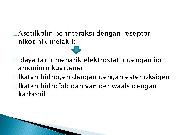 � Asetilkolin berinteraksi dengan reseptor nikotinik melalui: daya tarik menarik elektrostatik dengan ion amonium