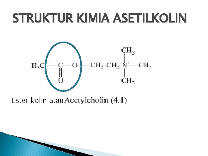 STRUKTUR KIMIA ASETILKOLIN Ester kolin atau 