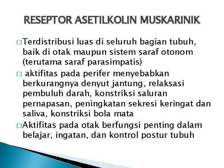 RESEPTOR ASETILKOLIN MUSKARINIK � Terdistribusi luas di seluruh bagian tubuh, baik di otak maupun