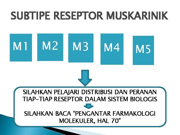 SUBTIPE RESEPTOR MUSKARINIK M 1 M 2 M 3 M 4 M 5 SILAHKAN