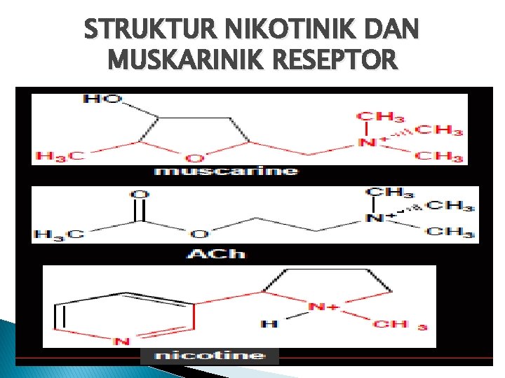 STRUKTUR NIKOTINIK DAN MUSKARINIK RESEPTOR 