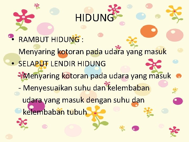 HIDUNG • RAMBUT HIDUNG : Menyaring kotoran pada udara yang masuk • SELAPUT LENDIR