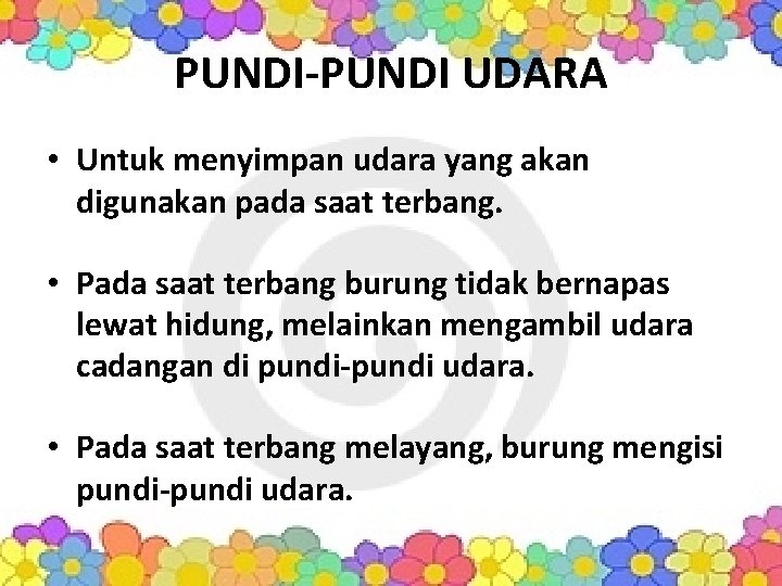 PUNDI-PUNDI UDARA • Untuk menyimpan udara yang akan digunakan pada saat terbang. • Pada