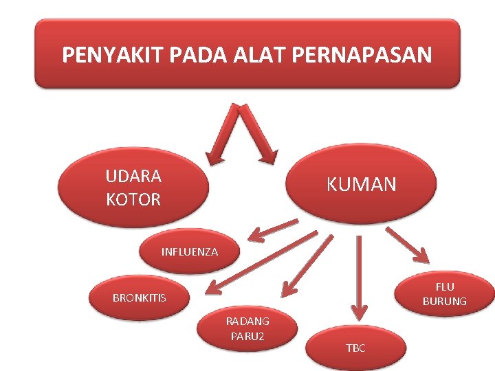 PENYAKIT PADA ALAT PERNAPASAN UDARA KOTOR KUMAN INFLUENZA FLU BURUNG BRONKITIS RADANG PARU 2