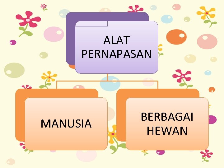 ALAT PERNAPASAN MANUSIA BERBAGAI HEWAN 