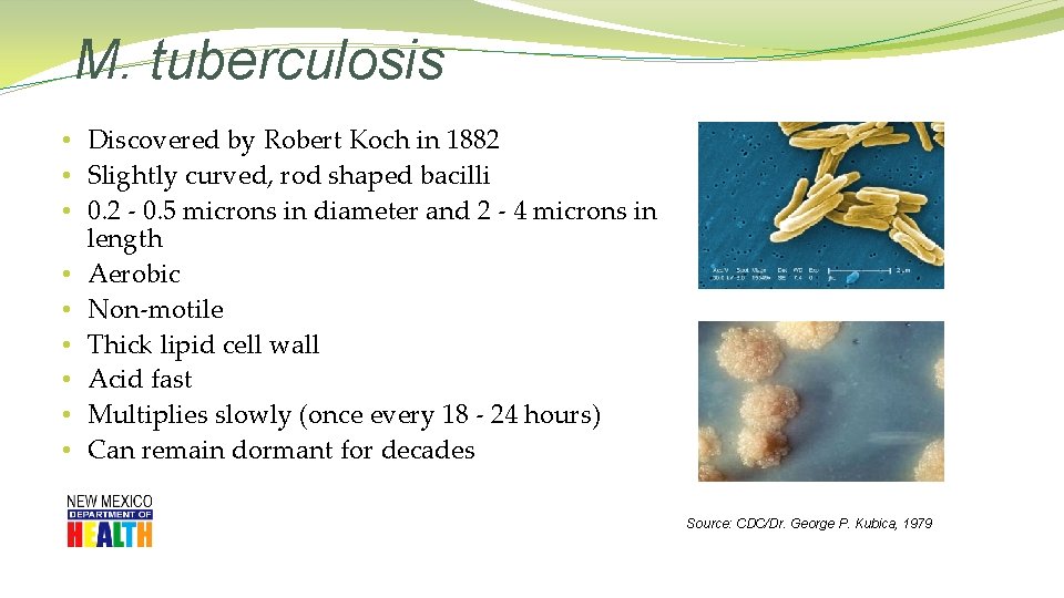 M. tuberculosis • Discovered by Robert Koch in 1882 • Slightly curved, rod shaped