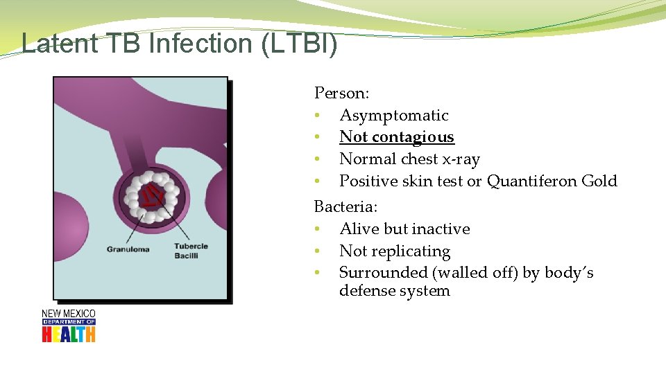 Latent TB Infection (LTBI) Person: • Asymptomatic • Not contagious • Normal chest x-ray