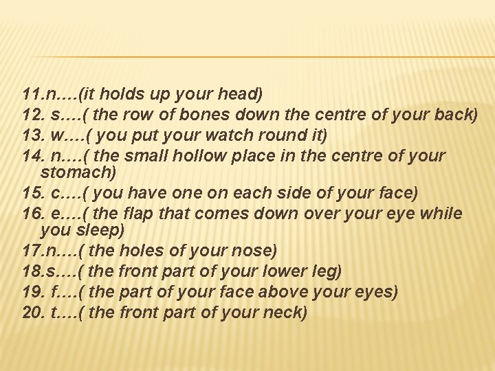 11. n…. (it holds up your head) 12. s…. ( the row of bones