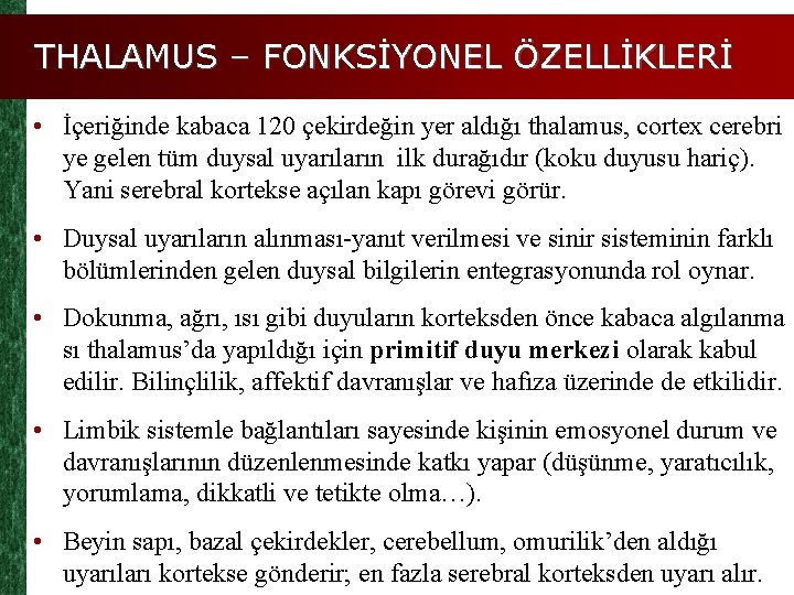 THALAMUS – FONKSİYONEL ÖZELLİKLERİ • İçeriğinde kabaca 120 çekirdeğin yer aldığı thalamus, cortex cerebri