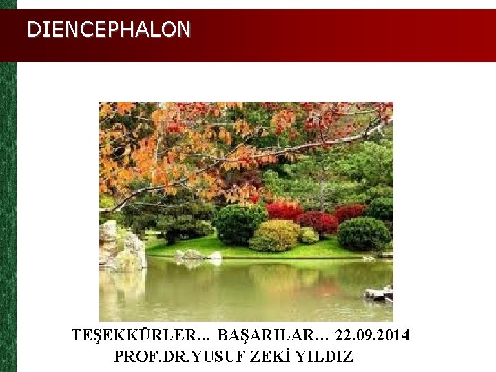 DIENCEPHALON TEŞEKKÜRLER… BAŞARILAR… 22. 09. 2014 PROF. DR. YUSUF ZEKİ YILDIZ 