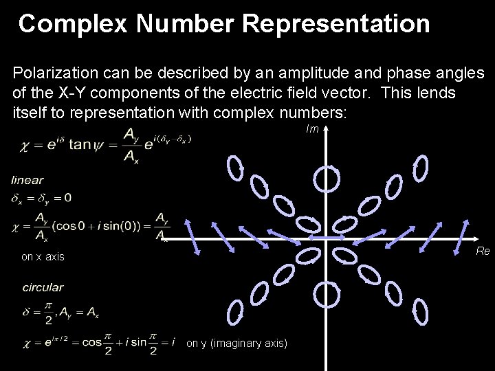 Complex Number Representation Polarization can be described by an amplitude and phase angles of