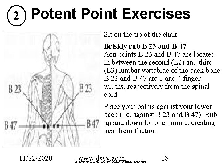 2 Potent Point Exercises Sit on the tip of the chair Briskly rub B