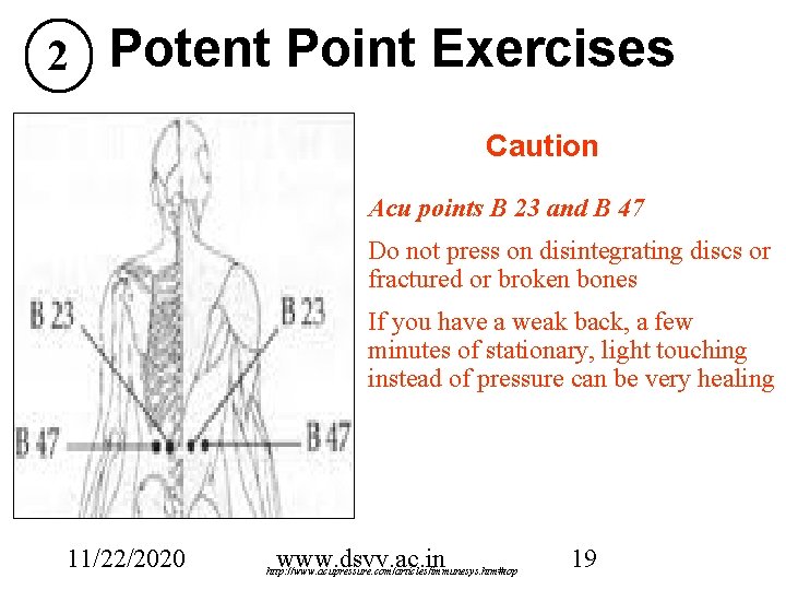2 Potent Point Exercises Caution Acu points B 23 and B 47 Do not