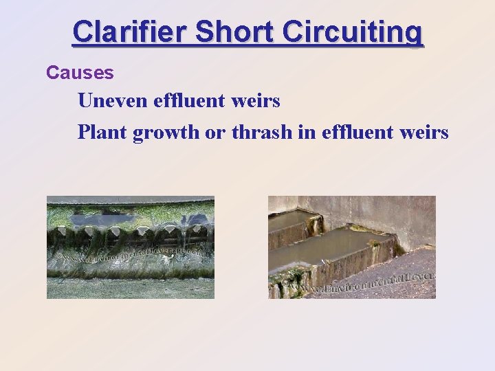 Clarifier Short Circuiting Causes Uneven effluent weirs Plant growth or thrash in effluent weirs