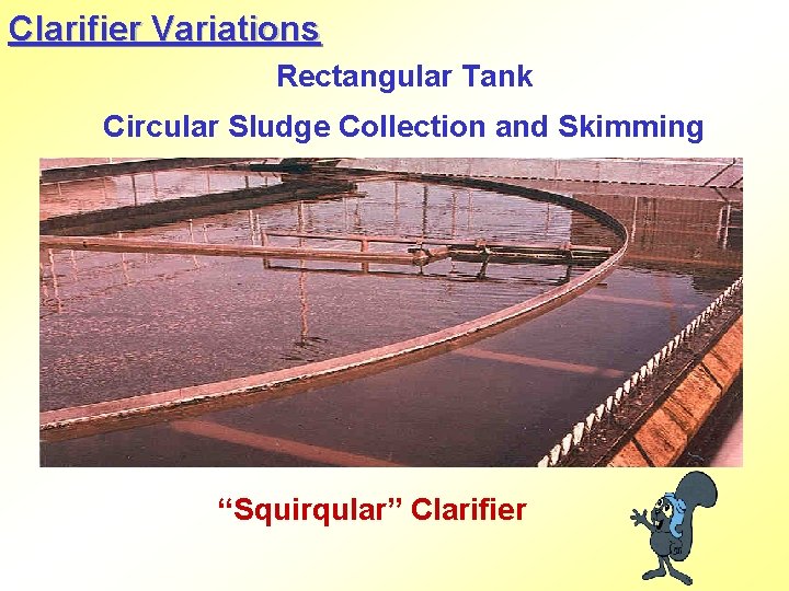 Clarifier Variations Rectangular Tank Circular Sludge Collection and Skimming “Squirqular” Clarifier 