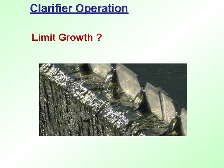 Clarifier Operation Limit Growth ? 