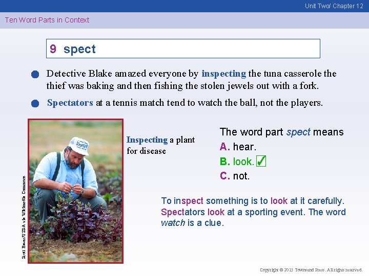 Unit Two/ Chapter 12 Ten Word Parts in Context 9 spect Detective Blake amazed