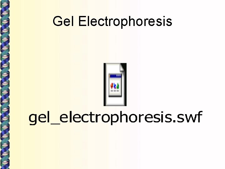 Gel Electrophoresis 