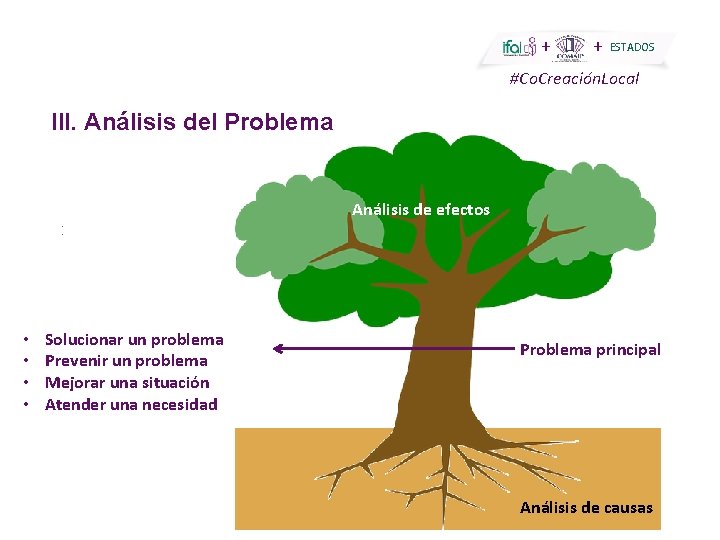 + + ESTADOS #Co. Creación. Local III. Análisis del Problema Análisis de efectos :