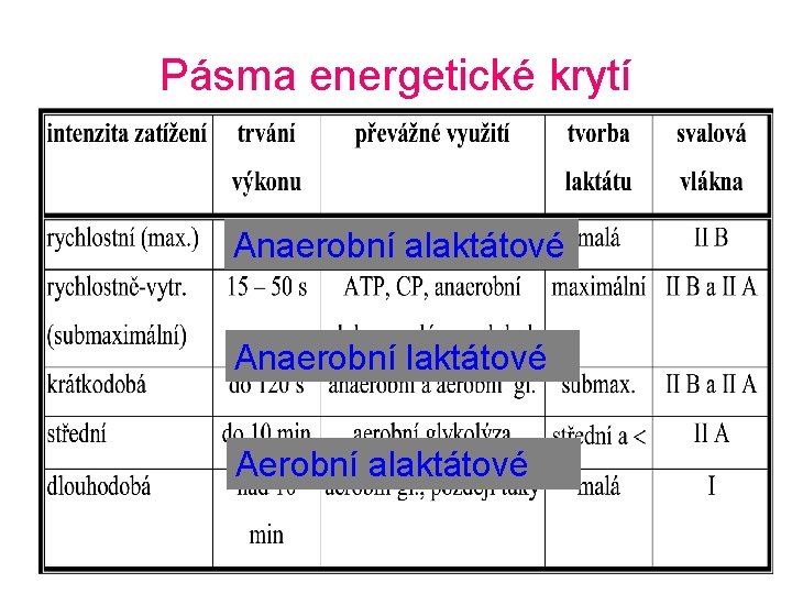 Pásma energetické krytí Anaerobní alaktátové Anaerobní laktátové Aerobní alaktátové 