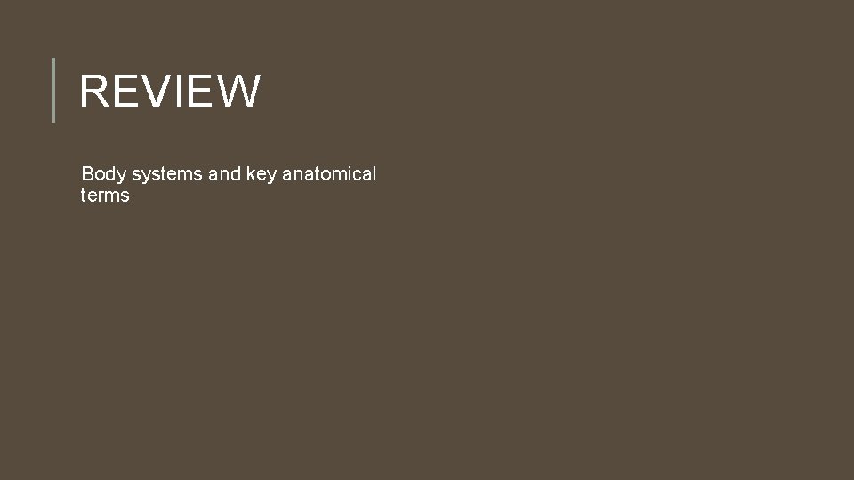 REVIEW Body systems and key anatomical terms 