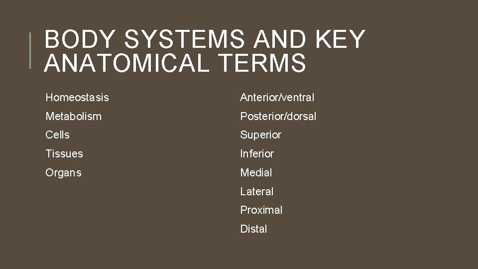 BODY SYSTEMS AND KEY ANATOMICAL TERMS Homeostasis Anterior/ventral Metabolism Posterior/dorsal Cells Superior Tissues Inferior