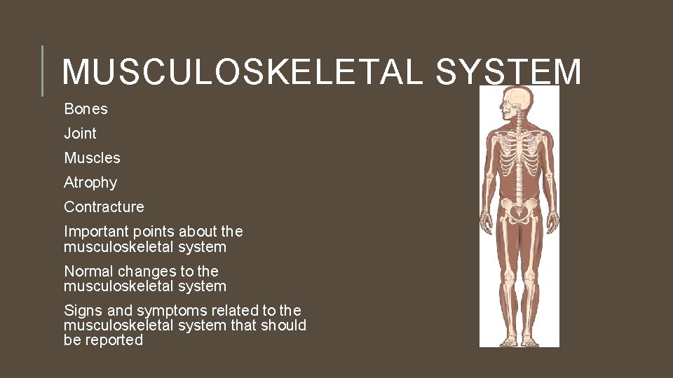 MUSCULOSKELETAL SYSTEM Bones Joint Muscles Atrophy Contracture Important points about the musculoskeletal system Normal