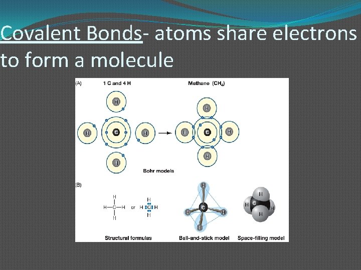 Covalent Bonds- atoms share electrons to form a molecule 