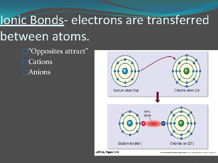 Ionic Bonds- electrons are transferred between atoms. �“Opposites attract” �Cations �Anions 