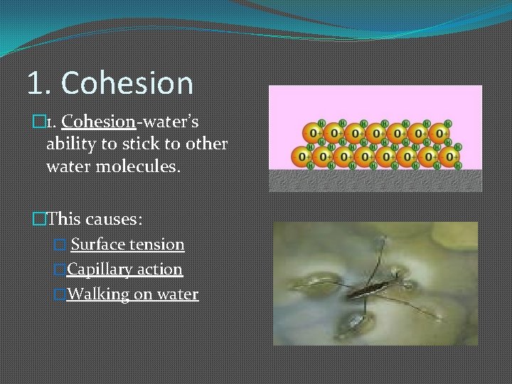 1. Cohesion � 1. Cohesion-water’s ability to stick to other water molecules. �This causes: