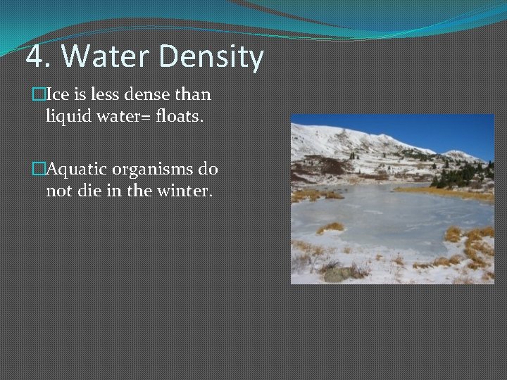 4. Water Density �Ice is less dense than liquid water= floats. �Aquatic organisms do