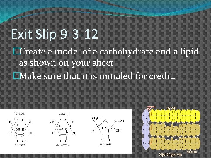 Exit Slip 9 -3 -12 �Create a model of a carbohydrate and a lipid