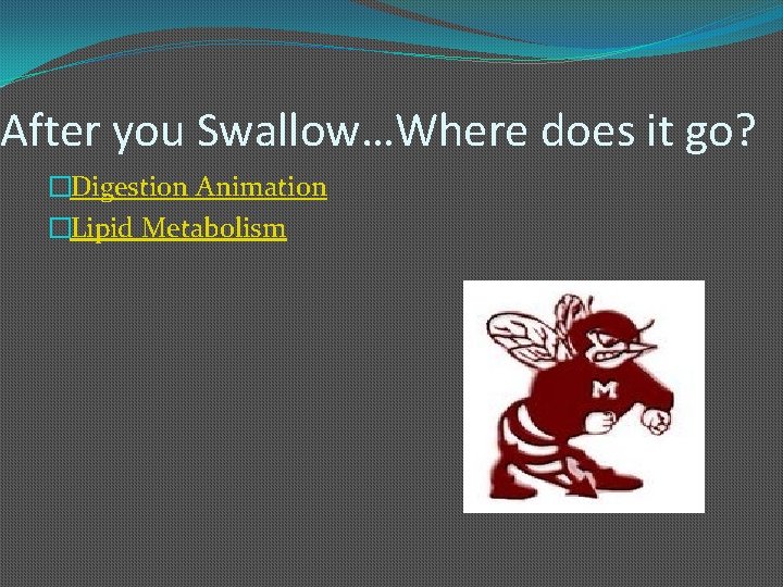 After you Swallow…Where does it go? �Digestion Animation �Lipid Metabolism 