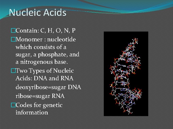 Nucleic Acids �Contain: C, H, O, N, P �Monomer : nucleotide which consists of