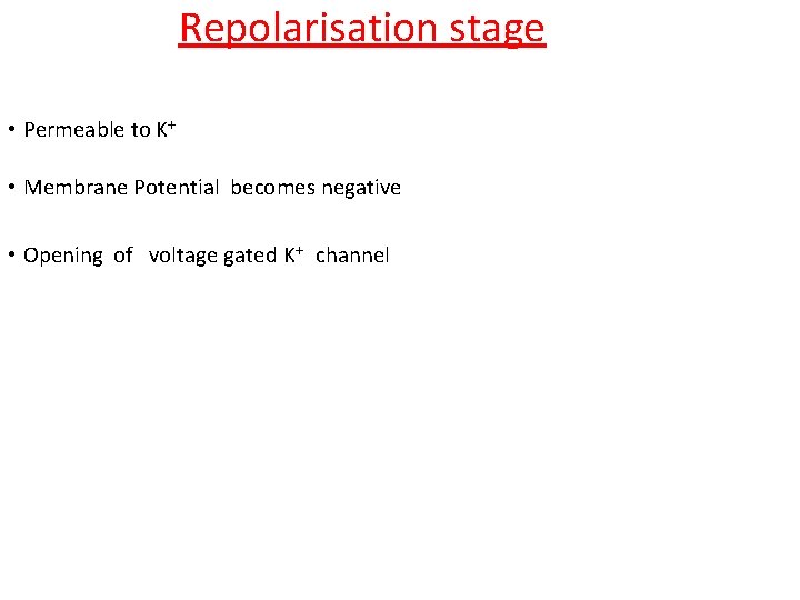 Repolarisation stage • Permeable to K+ • Membrane Potential becomes negative • Opening of