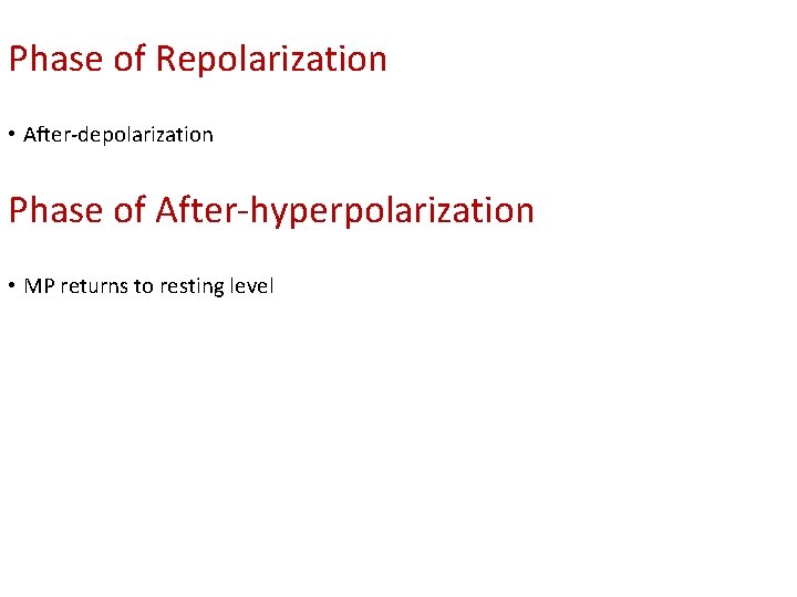 Phase of Repolarization • Rapid falling phase • After-depolarization Phase of After-hyperpolarization • More