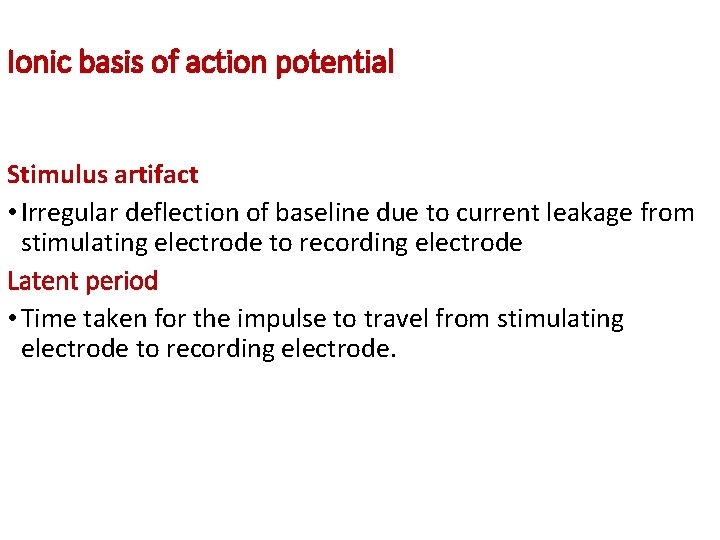 Ionic basis of action potential Stimulus artifact • Irregular deflection of baseline due to