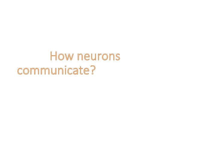 How neurons communicate? 