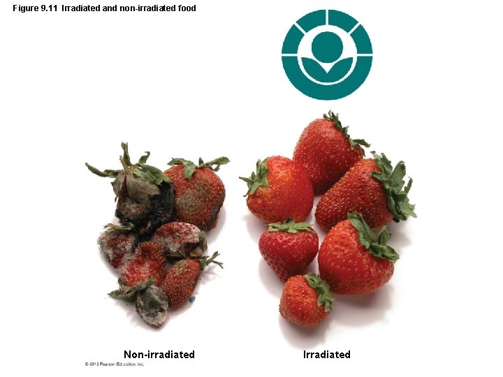 Figure 9. 11 Irradiated and non-irradiated food Non-irradiated Irradiated 