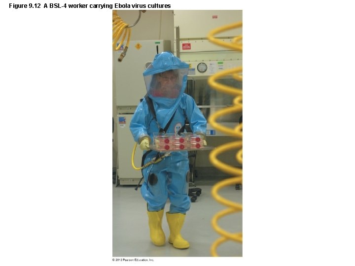 Figure 9. 12 A BSL-4 worker carrying Ebola virus cultures 