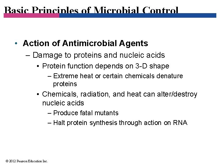 Basic Principles of Microbial Control • Action of Antimicrobial Agents – Damage to proteins