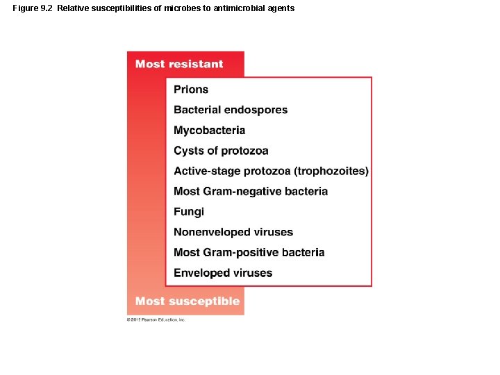 Figure 9. 2 Relative susceptibilities of microbes to antimicrobial agents 