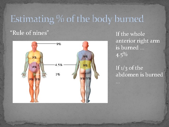 Estimating % of the body burned “Rule of nines” If the whole anterior right