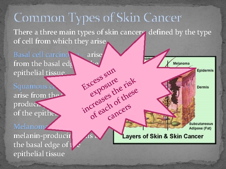 Common Types of Skin Cancer There a three main types of skin cancers, defined