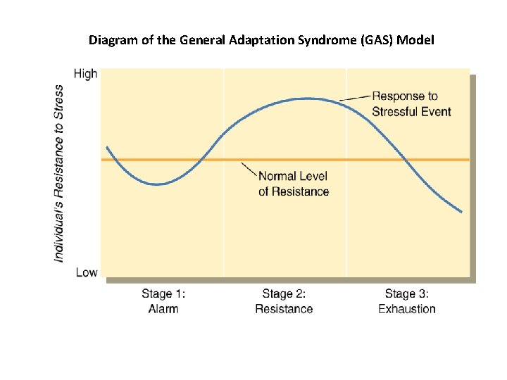 Diagram of the General Adaptation Syndrome (GAS) Model 