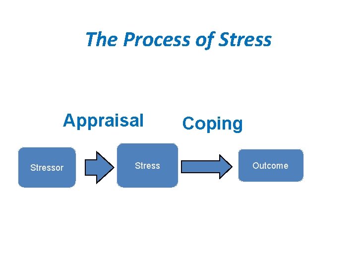 The Process of Stress Appraisal Stressor Stress Coping Outcome 