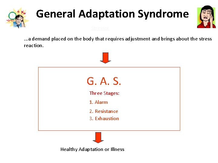 General Adaptation Syndrome Stressor. . . a demand placed on the body that requires