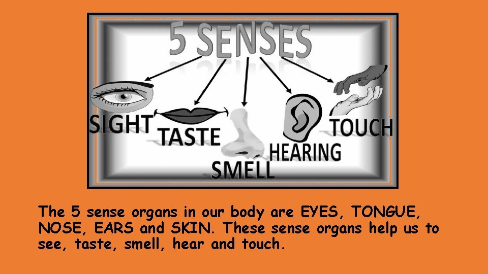 The 5 sense organs in our body are EYES, TONGUE, NOSE, EARS and SKIN.